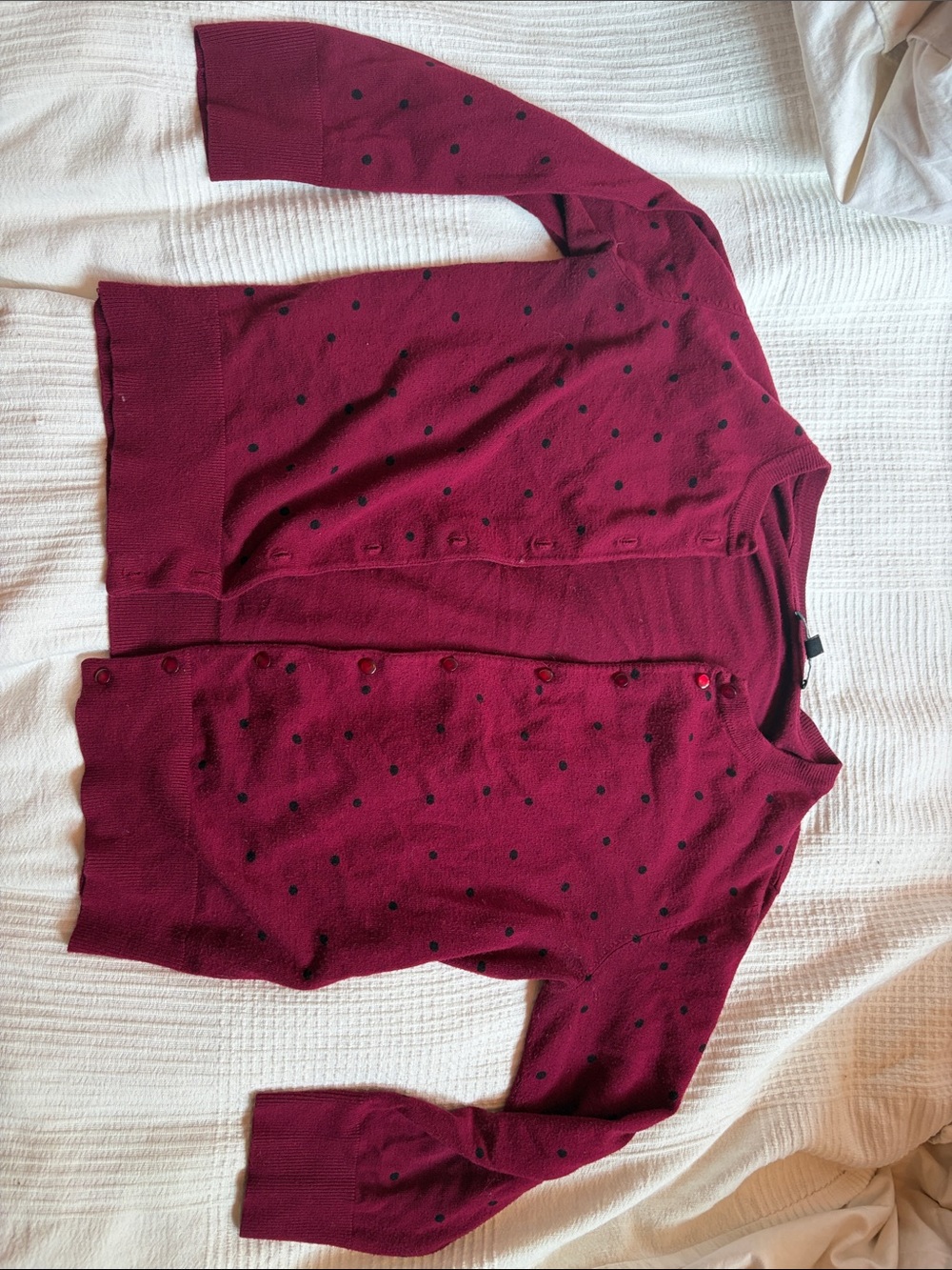Cable & Gauge Burgundy Dot-Print Cardigan